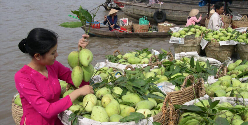 Mekong Delta Tour from Ho Chi Minh - 6 Days / 5 Nights