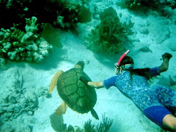 snorkeling inHon Ong Island