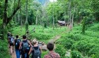 Cuc Phuong National Park - a Treasure of Ninh Binh Tourism