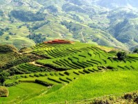 Answers for Questions about Sapa Travel, Vietnam