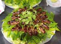10 Unique Specialties of the Green Land of Kon Tum