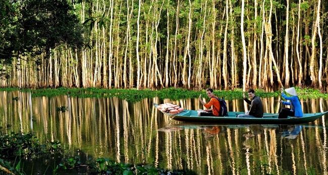 Cajuput Forests in Vietnam 4