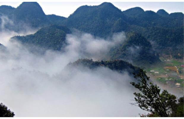 Cuc Phuong National Park 9