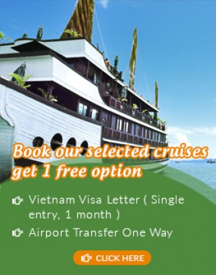 Vietnam Cruises