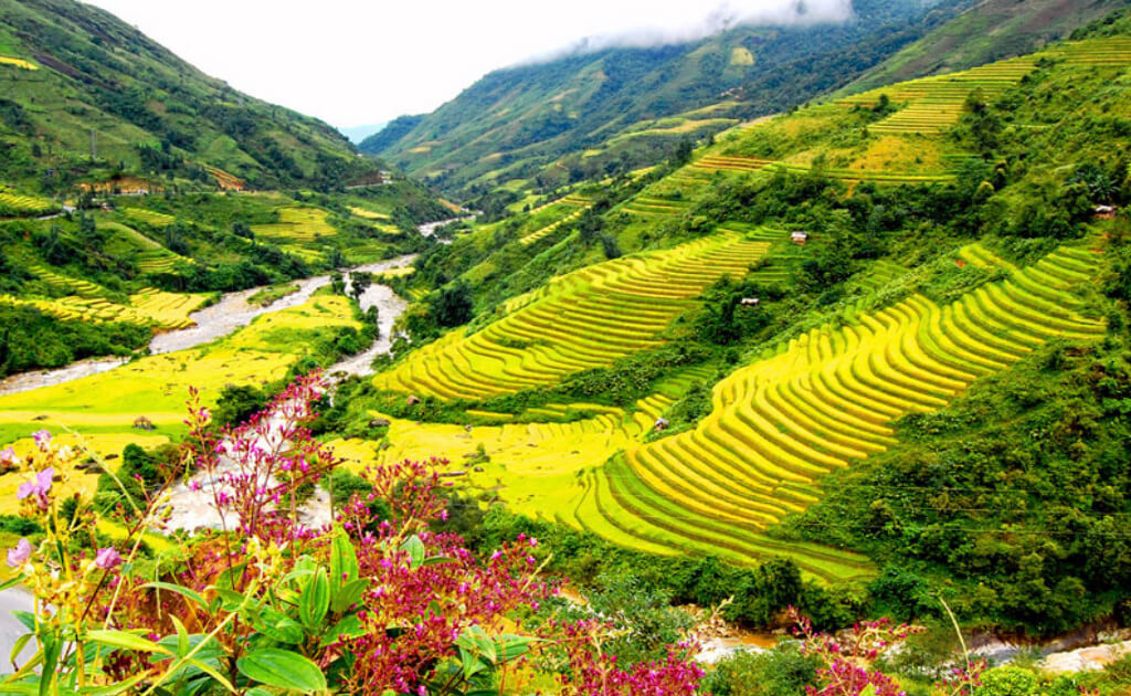 Best Places to Visit in Sapa 5