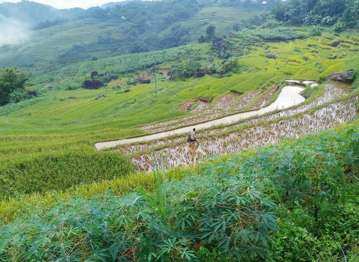 Pu Luong Trekking in 3 Days  - Stay at Pu Luong Retreat