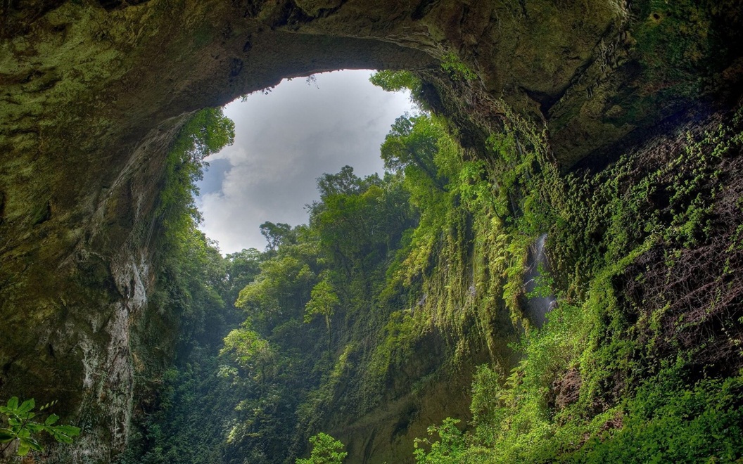 son doong forest