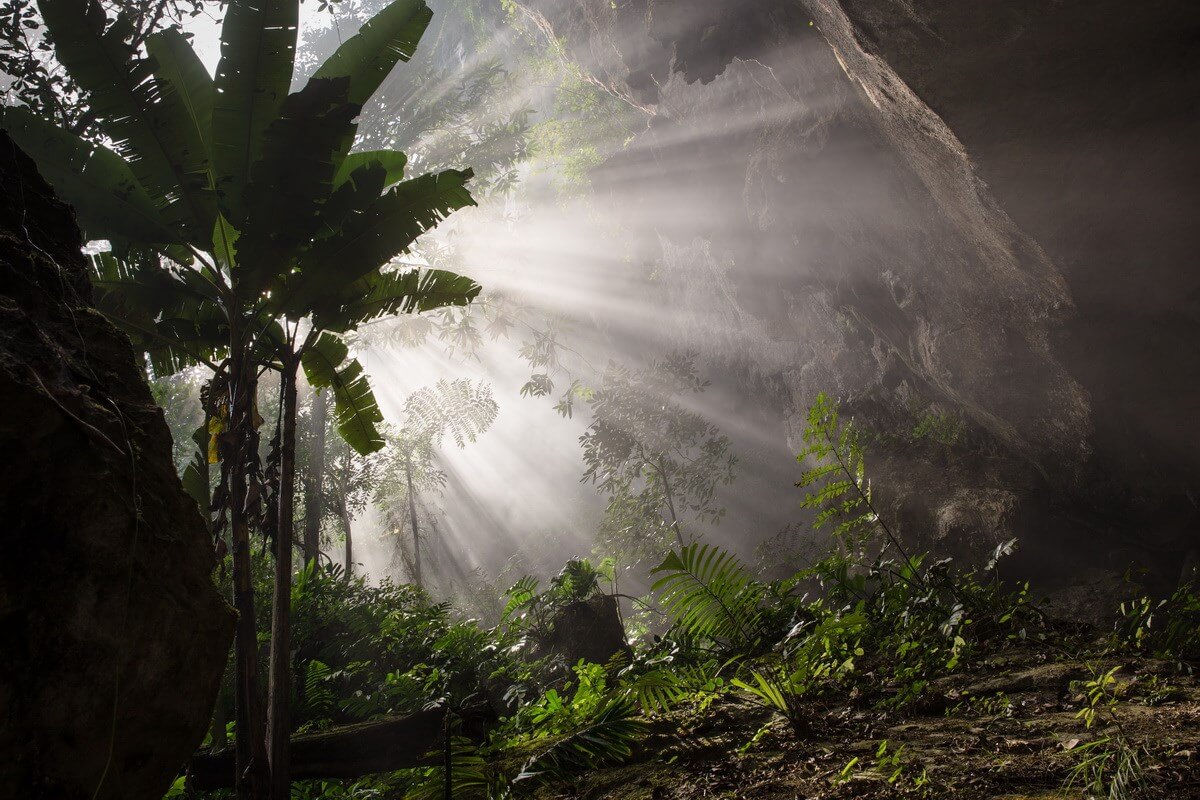 Son Doong Cave 10