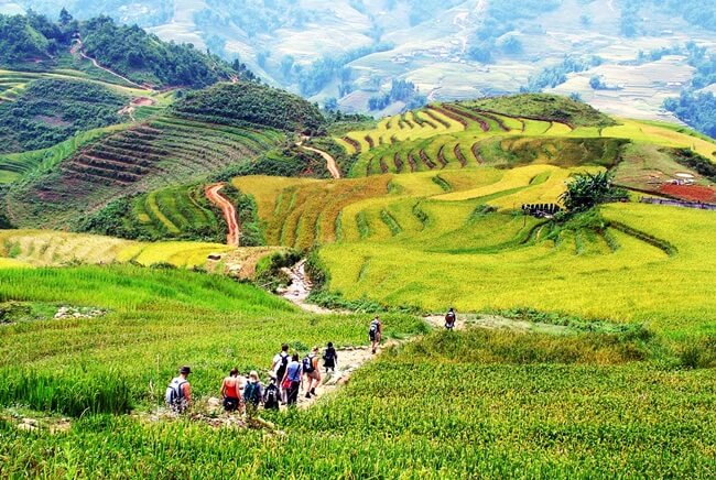 Trekking in Vietnam 2