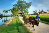 Duong Lam Ancient Village – The Silent Land among Bustling Life