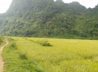 Pu Luong Trekking in 2 Days with Stay at Pu Luong Retreat