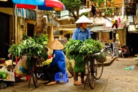 11 Days Feeling an Authentic Vietnam