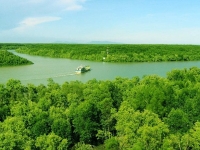 Mekong Delta Eco Tour
