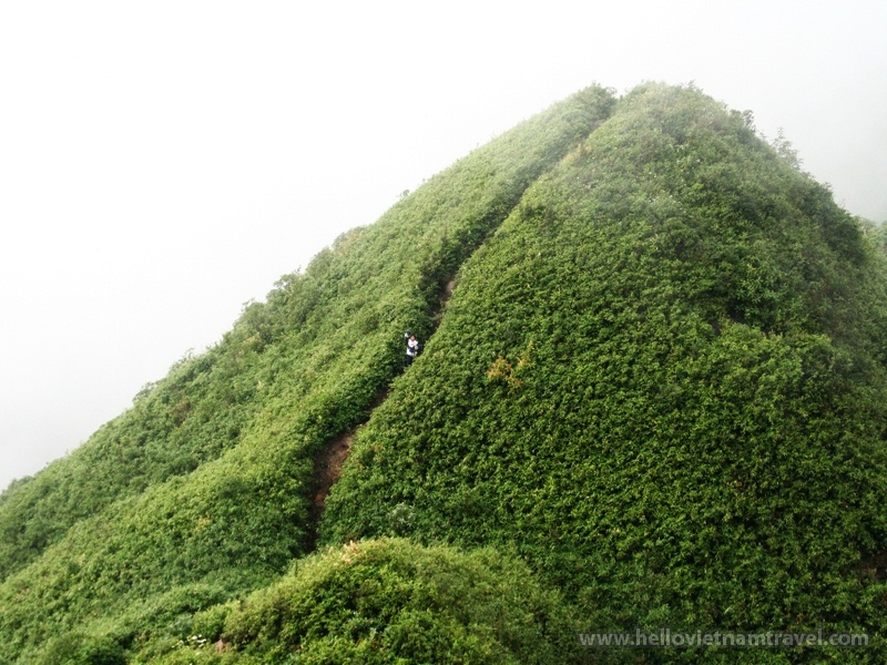 The Fanxipan peak - the Indochina roof