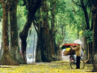 Day 2: Hanoi Sightseeing (B) 