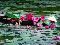 Useful Tips for Women When Travel to Vietnam in Summer