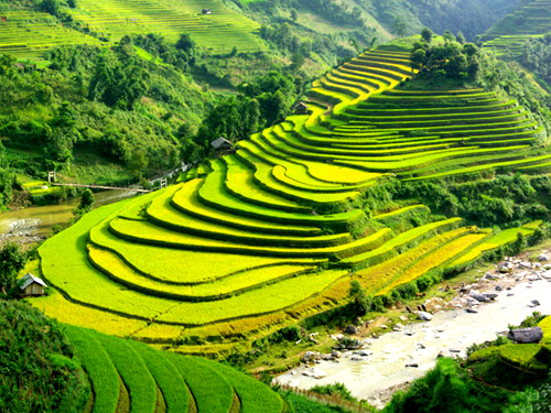Terraced fields in Lao Chai
