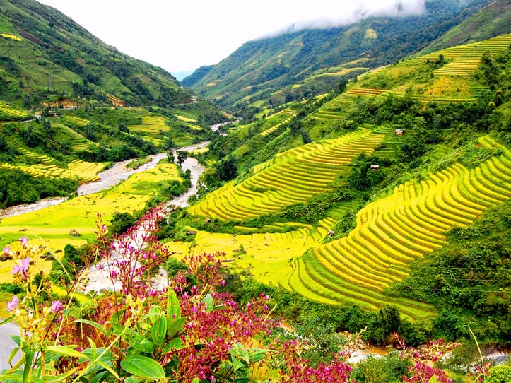 Paradises of grandiose terraced rice fields in Sapa