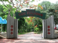 Cuc Phuong National Park Tour