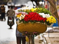 Vietnam Travel Blogs & News
