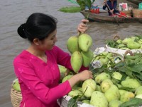 Mekong Delta Adventure - Boat Trip & Horse Cart Riding