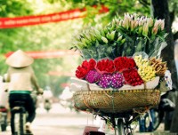 Hanoi - Halong Bay Tour