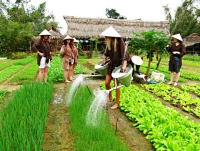 Day 5: Hoian city tour - Tra Que vegetable village (B/L)
