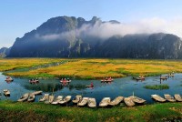 Van Long Natural Reserve – The Masterpiece of Wild Nature