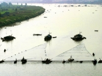Day 19: Bobbing Along the Mekong Delta (B/L)