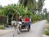 Mekong Delta Adventure ● Boat Trip & Horse Cart Riding