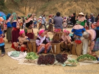 Day 5: Full day Enjoy a Tribal Traditional Market (B/L)